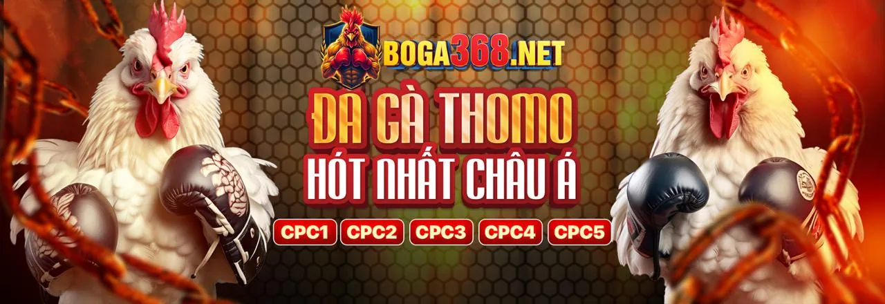 Các loại ưu đãi chính tại f1686f